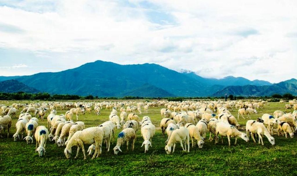 ninh thuan day manh phat trien cac san pham dac thu dia phuong