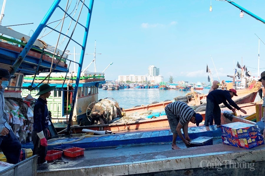 Cảng cá lớn nhất miền Trung nhộn nhịp cuối năm Cảng cá lớn nhất miền Trung nhộn nhịp cuối năm