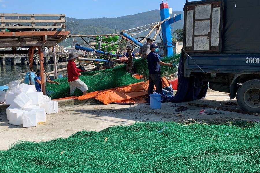 Cảng cá lớn nhất miền Trung nhộn nhịp cuối năm Cảng cá lớn nhất miền Trung nhộn nhịp cuối năm