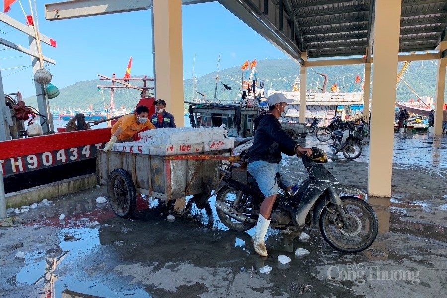 Cảng cá lớn nhất miền Trung nhộn nhịp cuối năm Cảng cá lớn nhất miền Trung nhộn nhịp cuối năm
