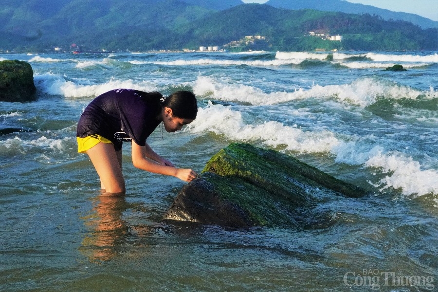 Khám phá vẻ đẹp của mùa rêu xanh Nam Ô