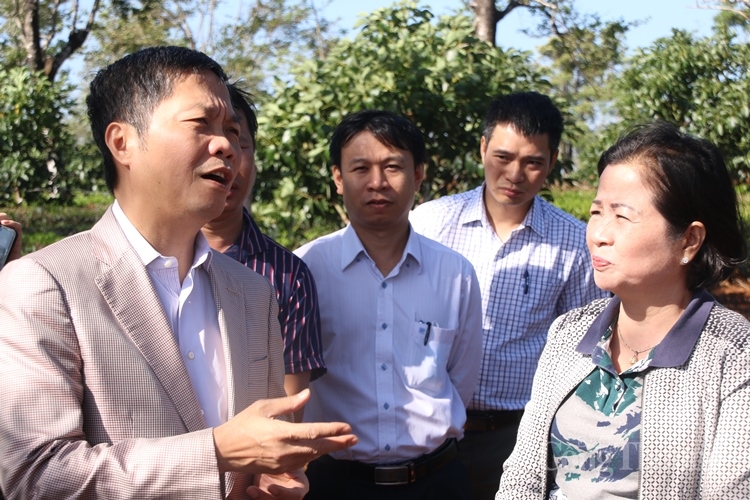bo truong bo cong thuong thi sat viec trien khai cac du an nang luong tai gia lai