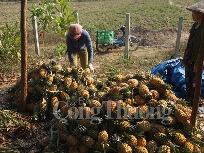 kho chong kho tai vung dua quang nam