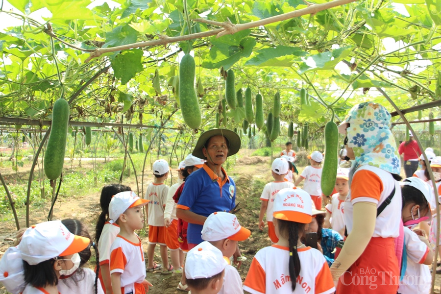 Đà Nẵng: Thúc đẩy nông nghiệp công nghệ cao gắn với du lịch trải nghiệm