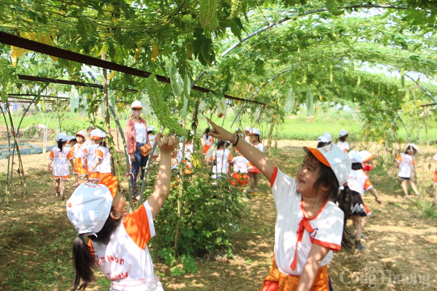 Đà Nẵng: Thúc đẩy nông nghiệp công nghệ cao gắn với du lịch trải nghiệm