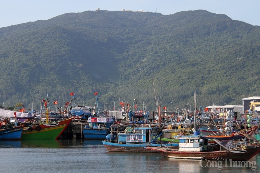 da nang san luong khai thac gia thu mua thuy hai san tai cho dau moi giam