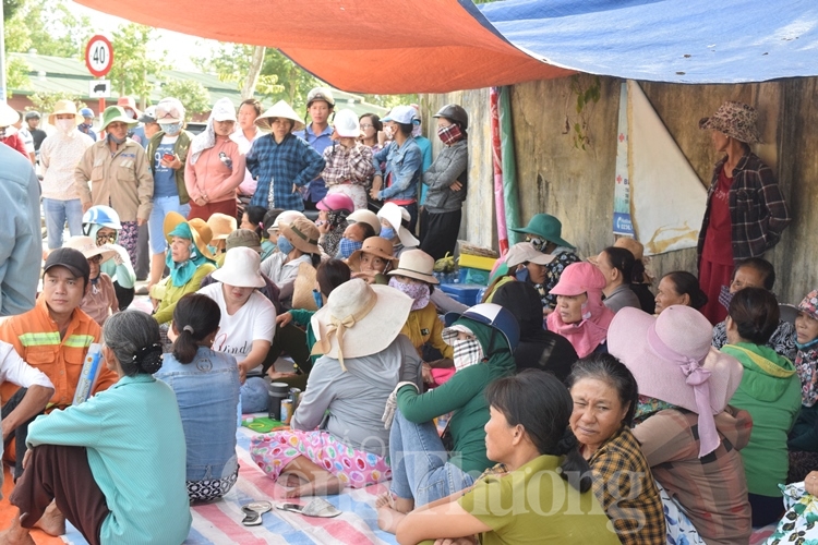 da nang xay dung trai phep va o nhiem moi truong tiep tuc chiem song hop bao quy ii