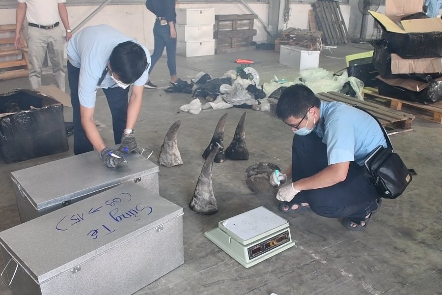 Đà Nẵng: Tạm giữ lô hàng nghi là sừng tê giác, xương động vật hoang dã
