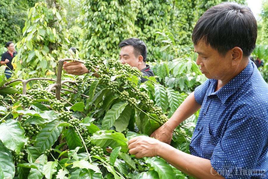 Báo chí là cầu nối thực hiện mục tiêu đưa phát thải ròng về 0 vào năm 2050