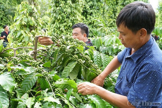 Báo chí là cầu nối thực hiện mục tiêu đưa phát thải ròng về 0 vào năm 2050