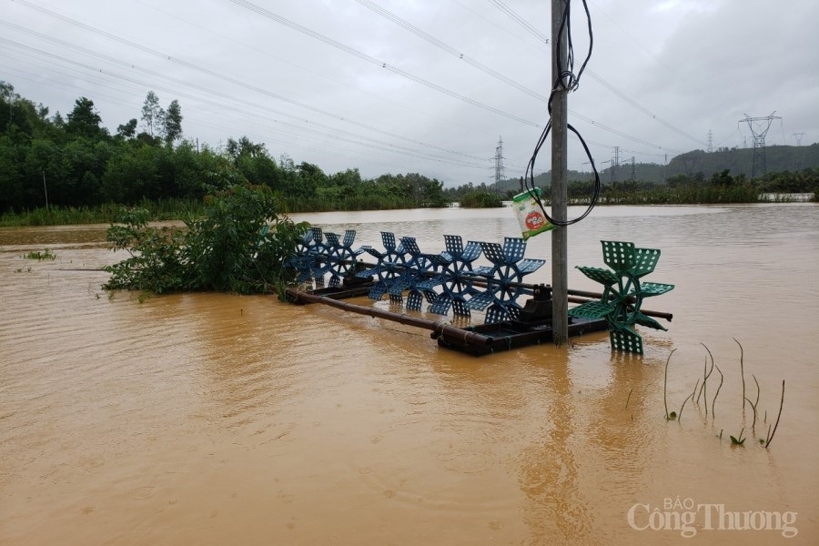 Đà Nẵng: Mưa lớn, một số nơi bị cô lập, nước tràn vào nhà dân