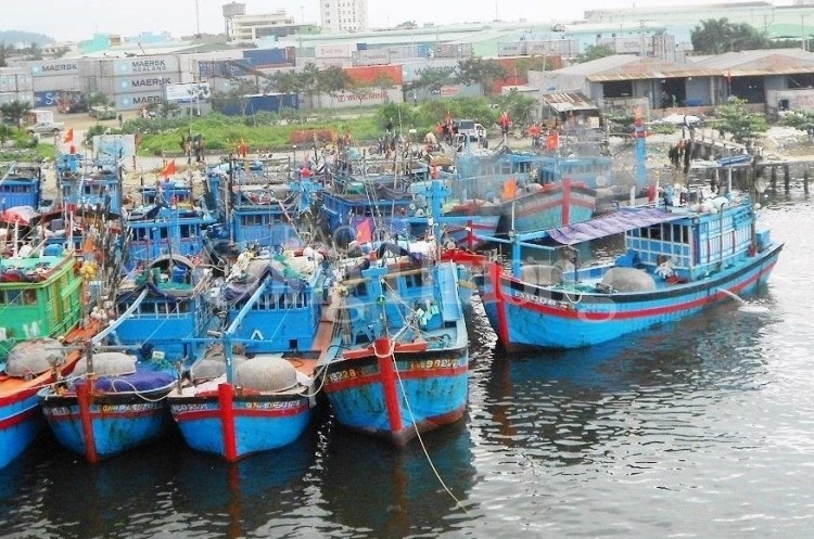 da nang phan lon vi pham iuu la khong ghi so nhat ky khai thac tre han dang kiem