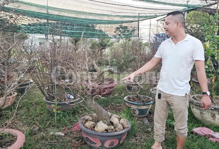 da nang dich vu cho thue mai vao mua