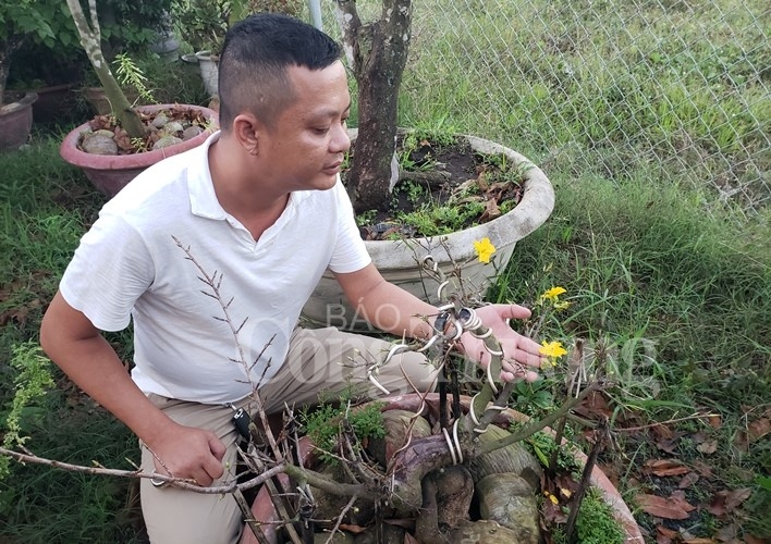 da nang dich vu cho thue mai vao mua