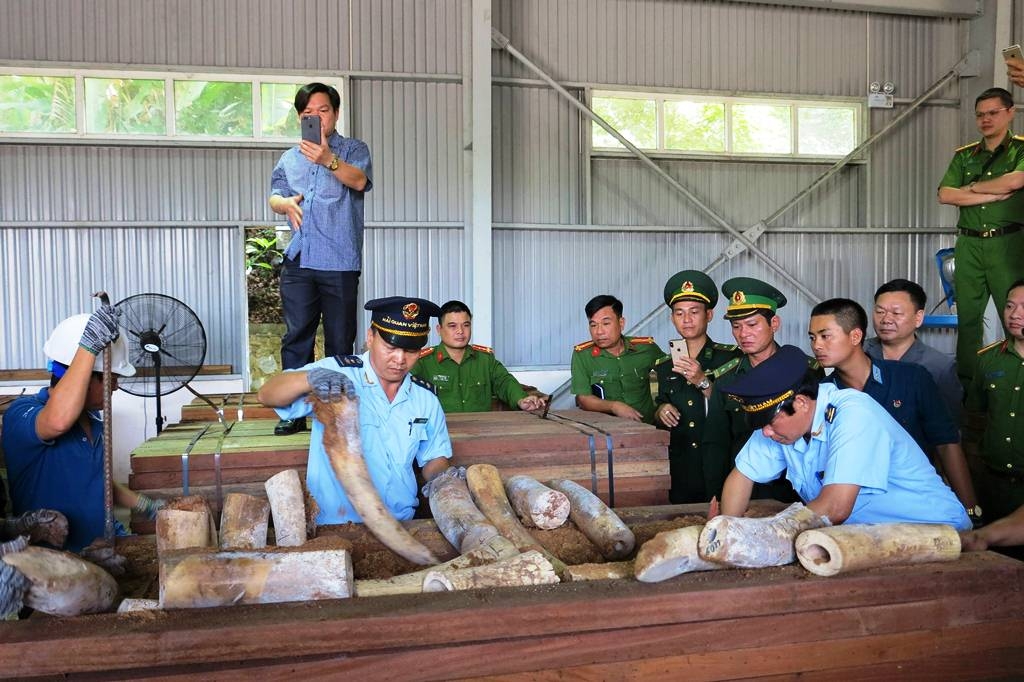 phat hien container chu gan 10 tan nga voi chau phi cap cang da nang