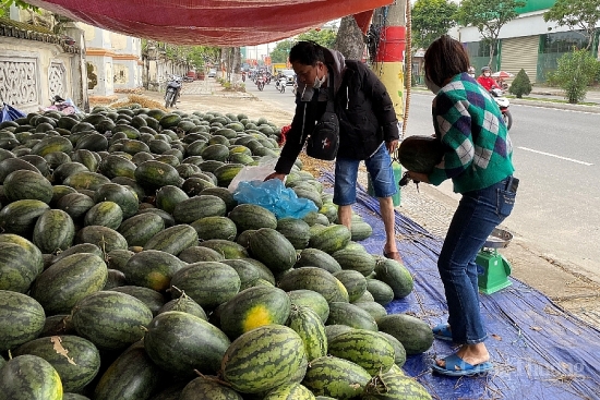 Người dân Đà Nẵng hỗ trợ "giải cứu" dưa hấu cho nhiều địa phương