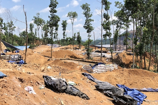 quang nam som lua chon nha thau dong cua mo vang bong mieu
