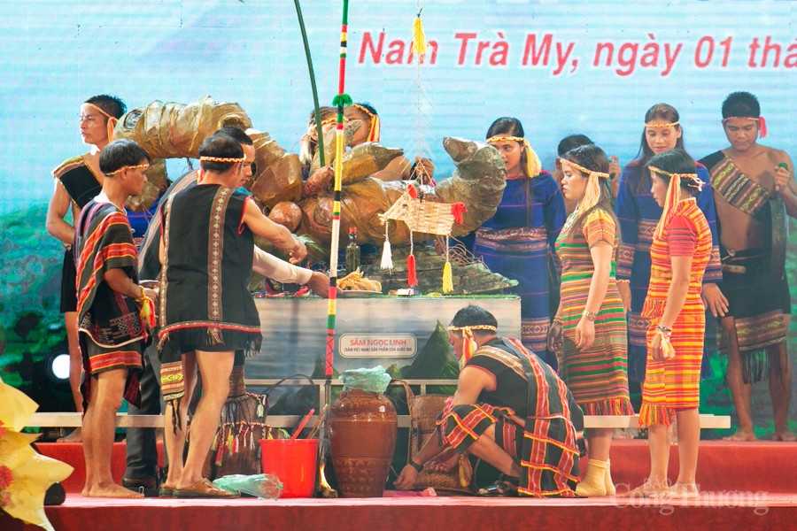 Quảng Nam: Lễ hội sâm Ngọc Linh thu hút đông đảo người dân và du khách Quảng Nam: Lễ hội sâm Ngọc Linh thu hút đông đảo người dân và du khách