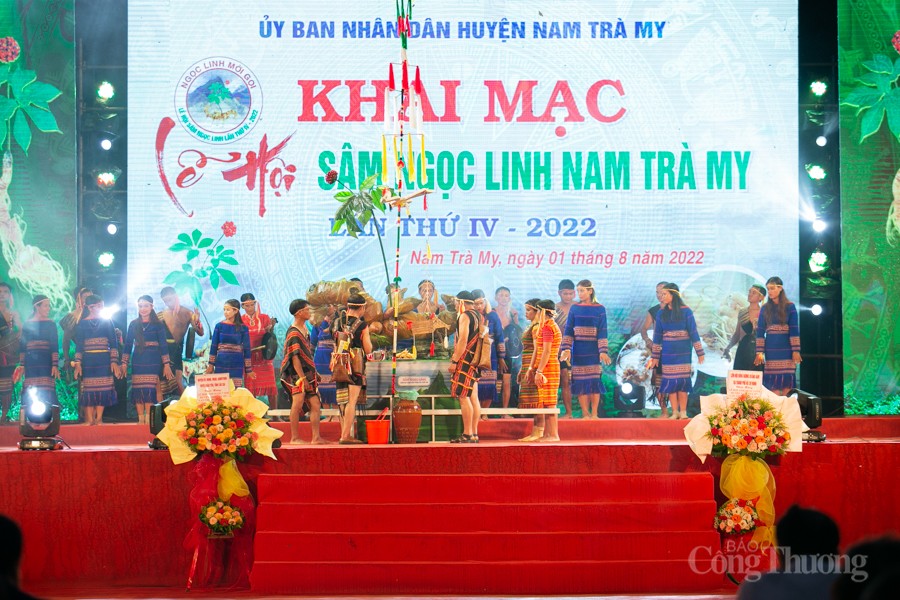 Quảng Nam: Lễ hội sâm Ngọc Linh thu hút đông đảo người dân và du khách Quảng Nam: Lễ hội sâm Ngọc Linh thu hút đông đảo người dân và du khách