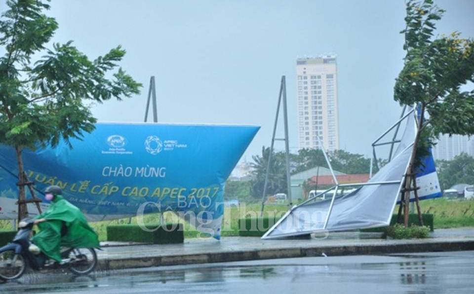 Chủ tịch TP. Đà Nẵng kêu gọi dọn dẹp sau bão phục vụ Tuần lễ cấp cao APEC 2017