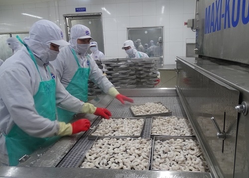 Cà Mau: Hỗ trợ giải quyết việc làm, đảm bảo an sinh xã hội cho người lao động trong mùa dịch