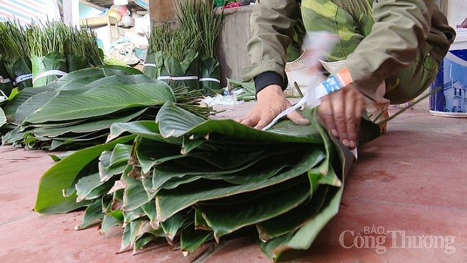 vua la dong ha noi boi thu mua tet