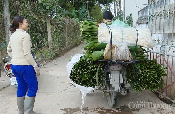 vua la dong ha noi boi thu mua tet