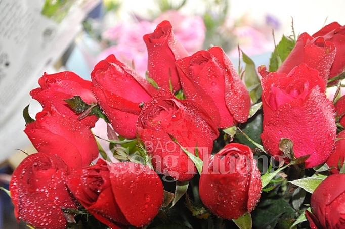 phong phu thi truong qua tang valentine