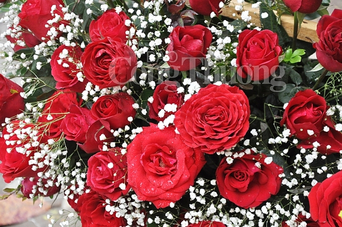 phong phu thi truong qua tang valentine