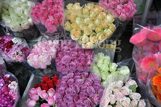 phong phu thi truong qua tang valentine