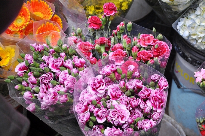 phong phu thi truong qua tang valentine