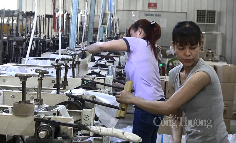 Thúc đẩy phát triển sản xuất tuần hoàn sản phẩm nhựa