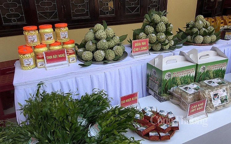 Lạng Sơn: Hộ sản xuất tiên phong phát triển kinh tế số
