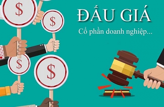 33,1 triệu cổ phần đấu giá thành công tại HNX 8 tháng đầu năm