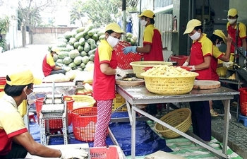 phat huy dong luc kinh te tu nhan trong thap nien toi