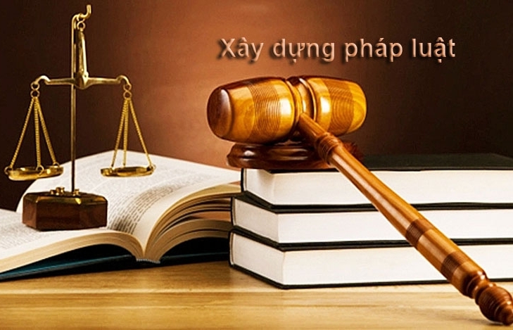 Nâng cao vai trò của doanh nghiệp tham gia xây dựng và hoàn thiện pháp luật