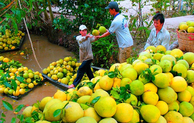 bao ho thuong hieu o nuoc ngoai can su ho tro cua cac ben