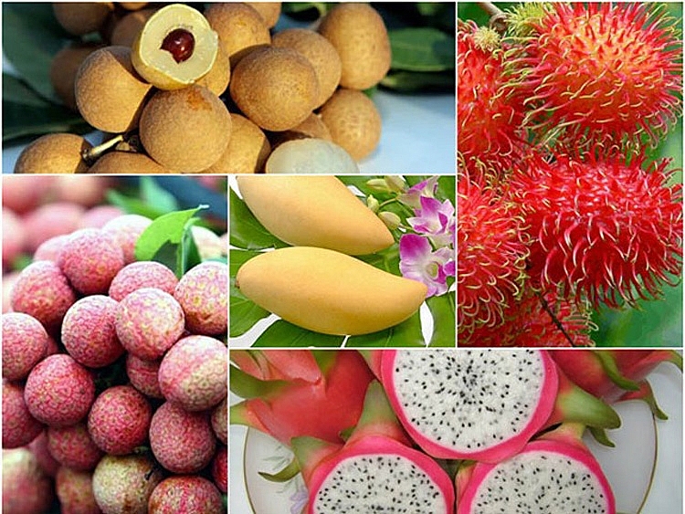 Trong cơ cấu chủng loại quả và quả hạch có rất nhiều loại quả có lợi thế cạnh tranh và còn nhiều tiềm năng để phát triển như: Thanh long, xoài, dưa hấu, chuối, nhãn, mít, các loại hạt...,