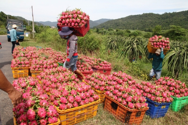 congthuong.vn