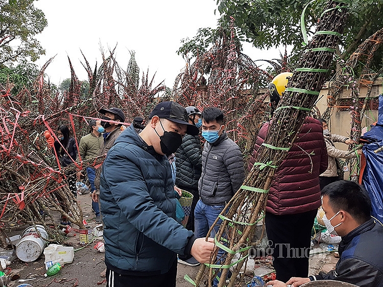 Người dân chọn cho mình những cành đào phù hợp với giá đình mình