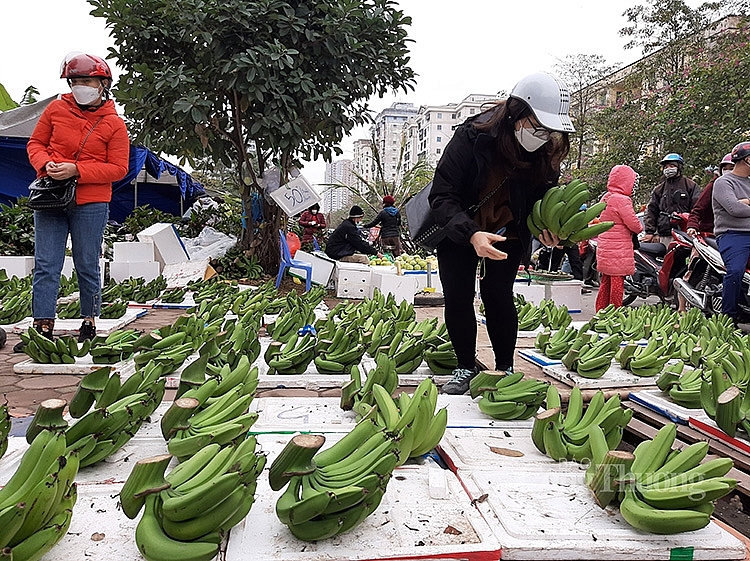 Hà Nội: Nhộn nhịp chợ đầu mối phía Nam ngày cận Tết Nhâm Dần