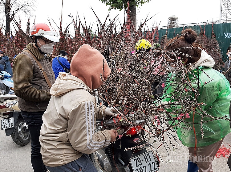 Hà Nội: Nhộn nhịp chợ đầu mối phía Nam ngày cận Tết Nhâm Dần