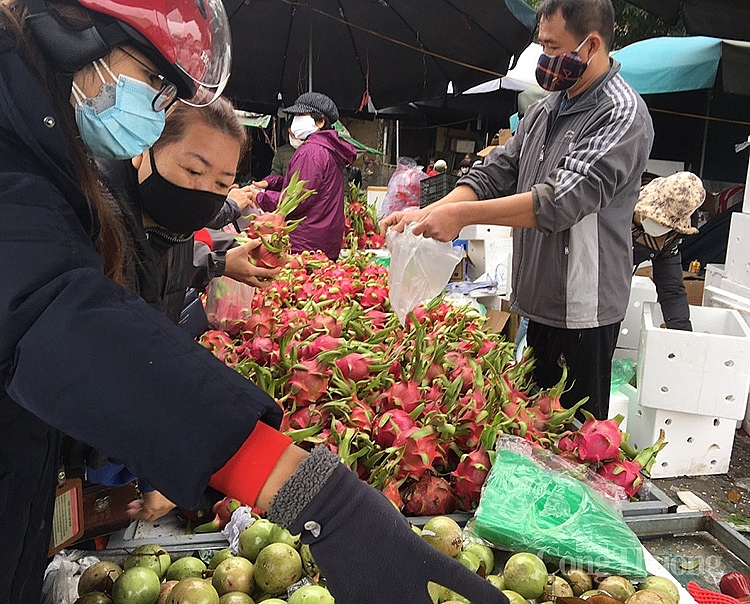 Hà Nội: Nhộn nhịp chợ đầu mối phía Nam ngày cận Tết Nhâm Dần