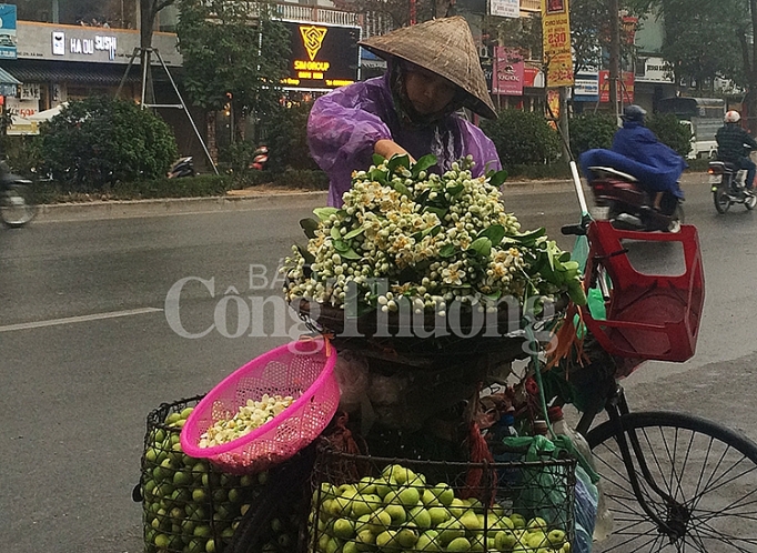 ha noi nong nan huong hoa buoi dau mua