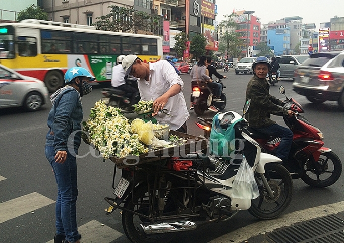 ha noi nong nan huong hoa buoi dau mua