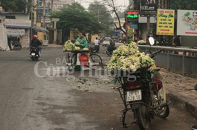 ha noi nong nan huong hoa buoi dau mua