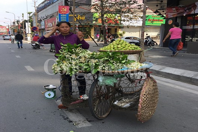 ha noi nong nan huong hoa buoi dau mua