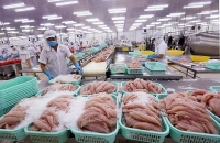Hàng Việt vươn mình cùng Hiệp định CPTPP