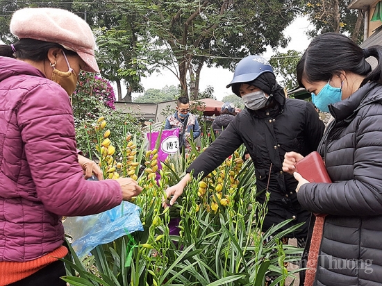 Hà Nội: Thị trường sáng ngày 29 Tết Tân Sửu sôi động, hàng hóa dồi dào, giá cả tăng nhẹ