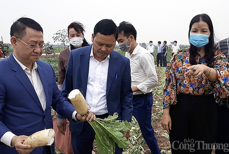 Nông sản Hà Nội: Mong hỗ trợ kết nối tiêu thụ chứ không phải “giải cứu”